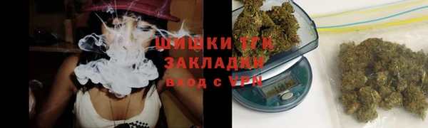 гидра Богданович