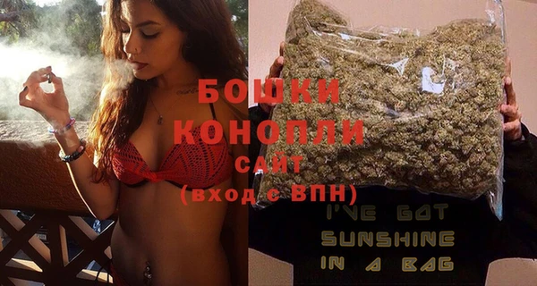 гидра Богданович