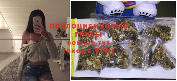 хмурый Богородицк