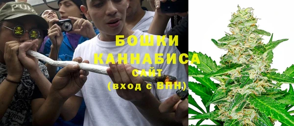 гидра Богданович