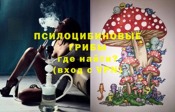 гидра Богданович