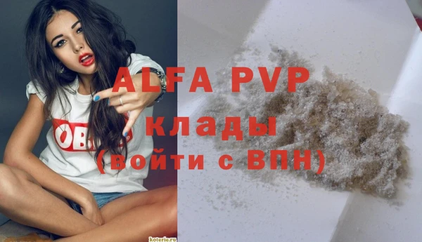 гидра Богданович