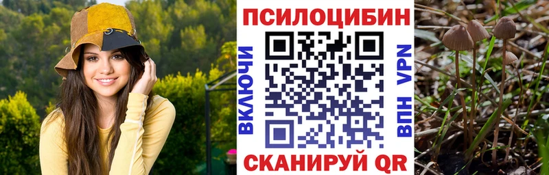 Псилоцибиновые грибы мицелий  Купить  Трёхгорный 