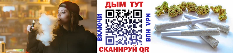 Каннабис OG Kush  Купить где  Трёхгорный 